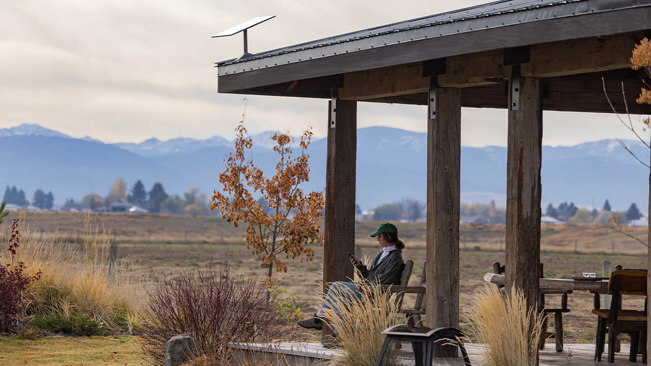 tout savoir sur starlink